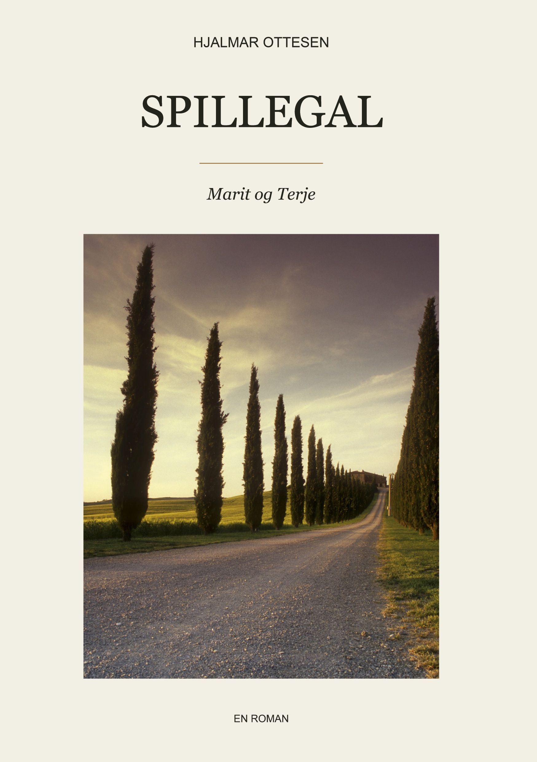 Spillegal - Marit og Terje : en roman