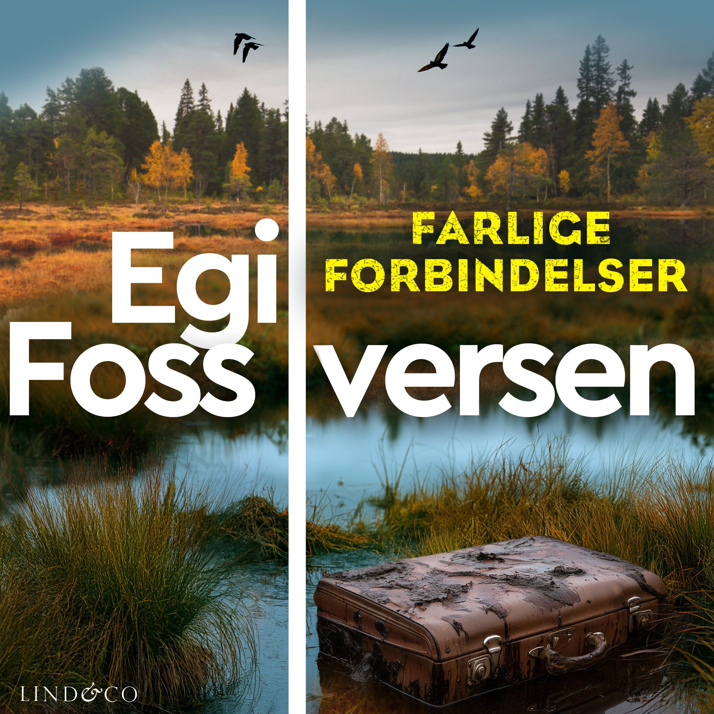 Farlige forbindelser