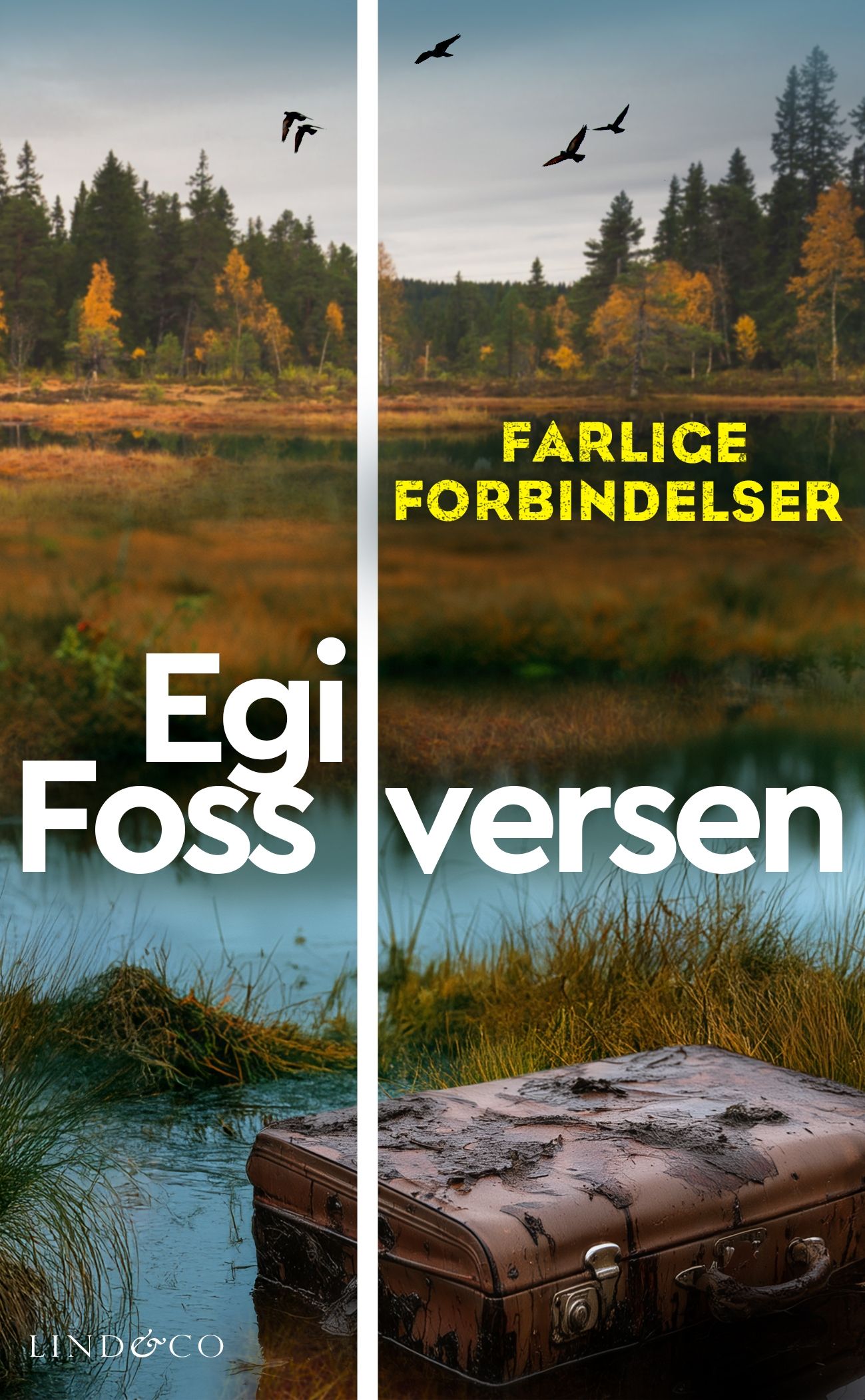 Farlige forbindelser