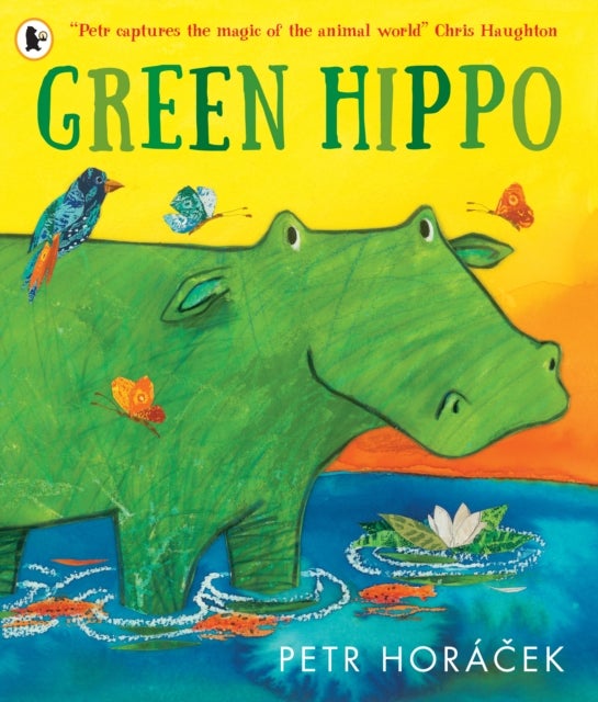 Green Hippo - A heart-warming and funny story about friendship and acceptance, from an award-winning author-illustrator