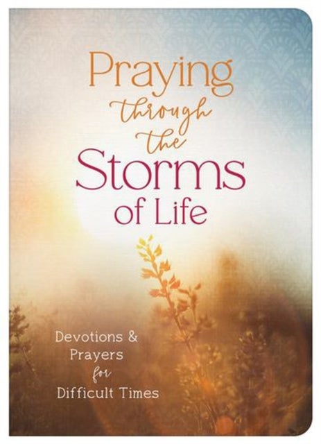 Praying Through the Storms of Life - Devotions & Prayers for Difficult Times