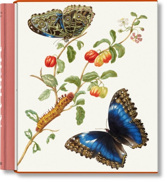 Merian av Katharina Schmidt-Loske