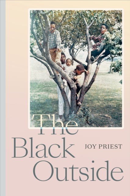 The Black Outside av Joy Priest