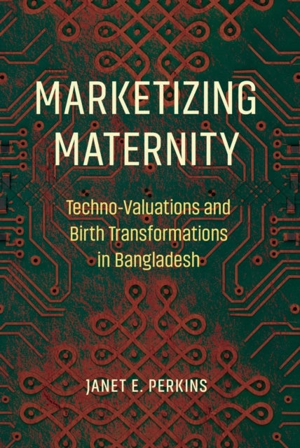 Marketizing Maternity av Janet E. Perkins