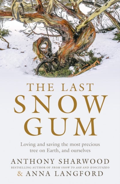The Last Snow Gum - Loving and saving the most precious tree on Earth, and ourselves