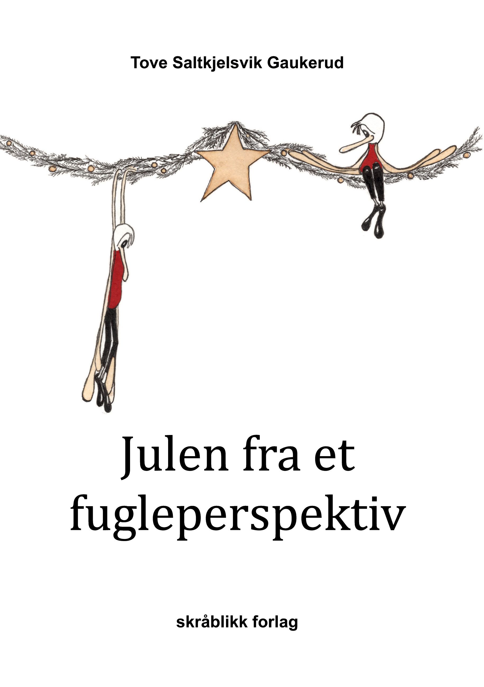 Julen fra et fugleperspektiv av Tove Saltkjelsvik Gaukerud