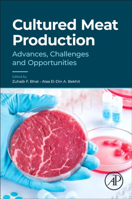 Cultured Meat Production