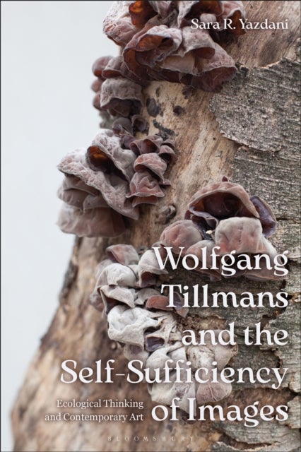 Wolfgang Tillmans and the Self-Sufficiency of Images