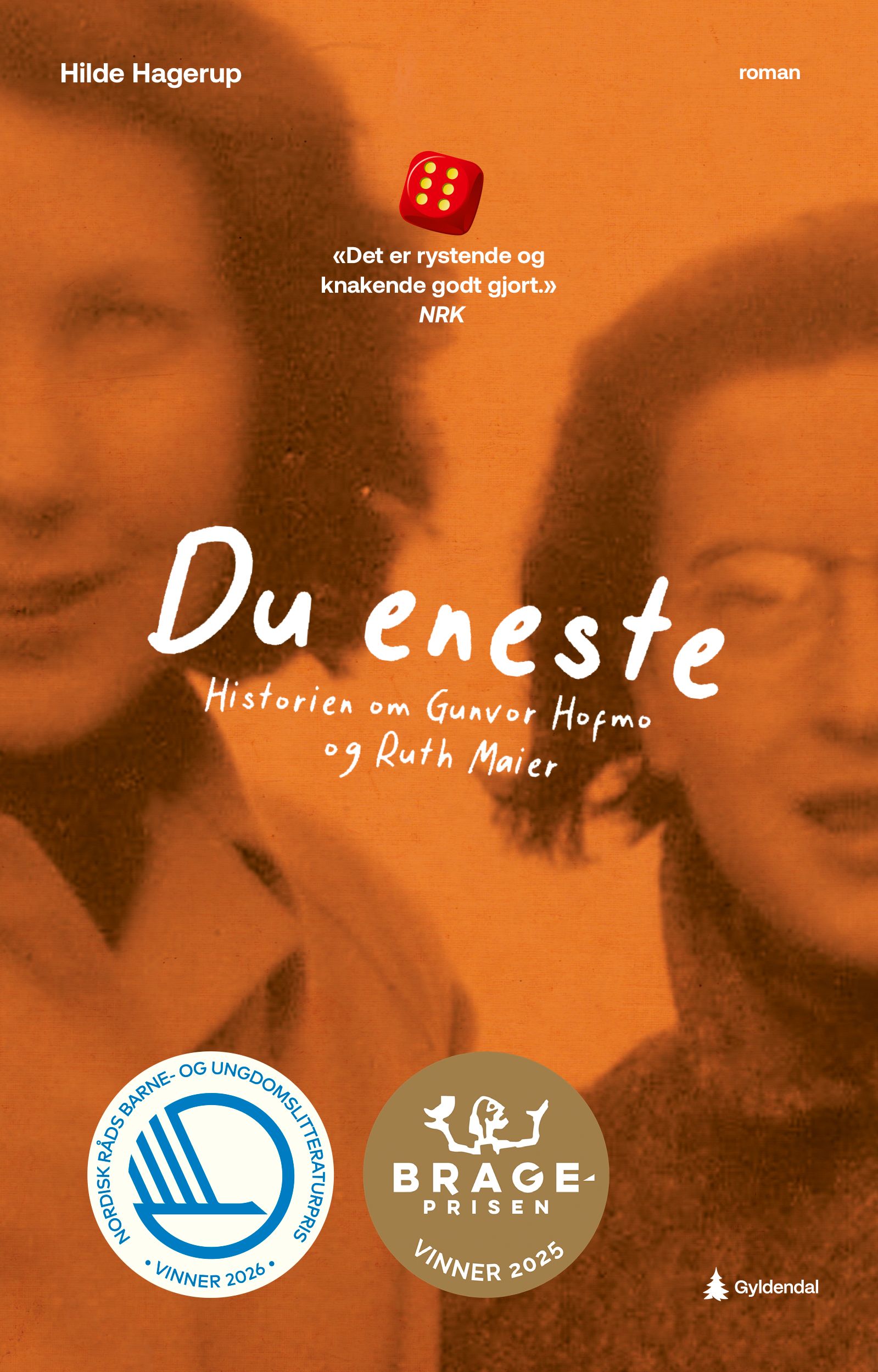 Du eneste - historien om Gunvor Hofmo og Ruth Maier : roman for ungdom