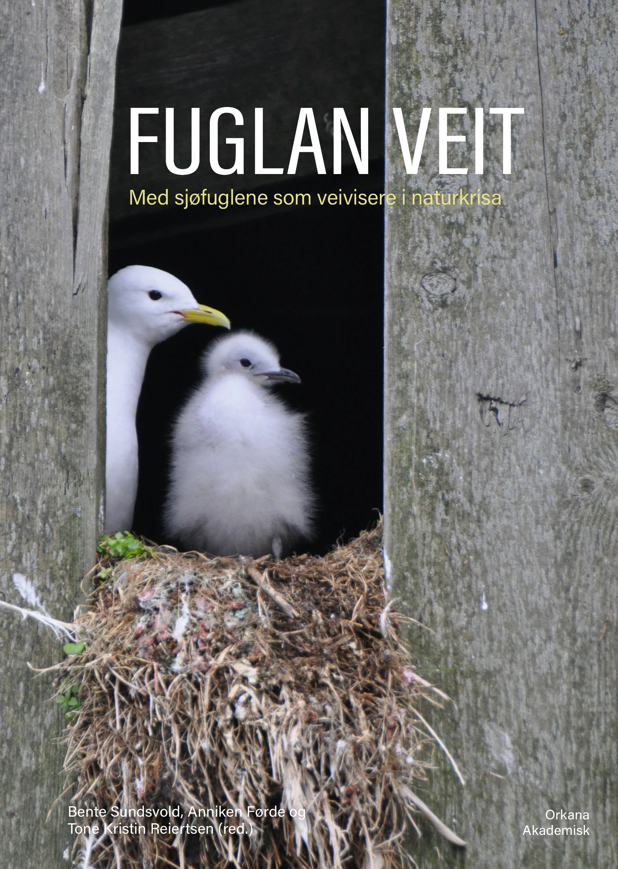 Fuglan veit