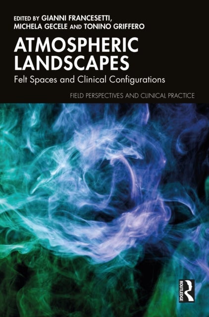 Atmospheric Landscapes - Felt Spaces and Clinical Configurations
