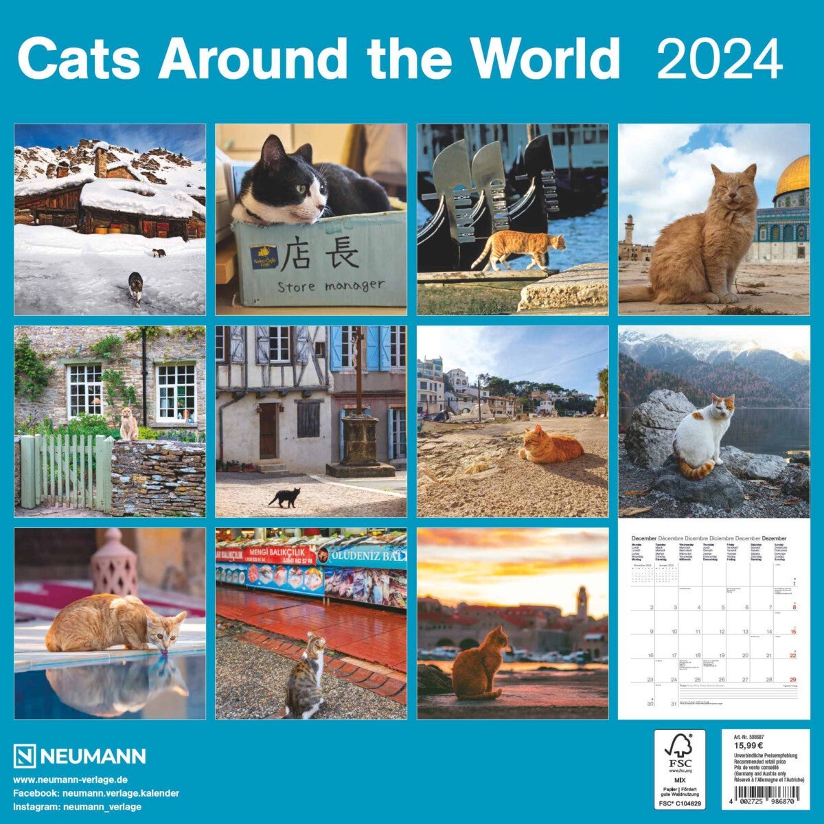 Kalender 2024 Cats a t World 30x30cm