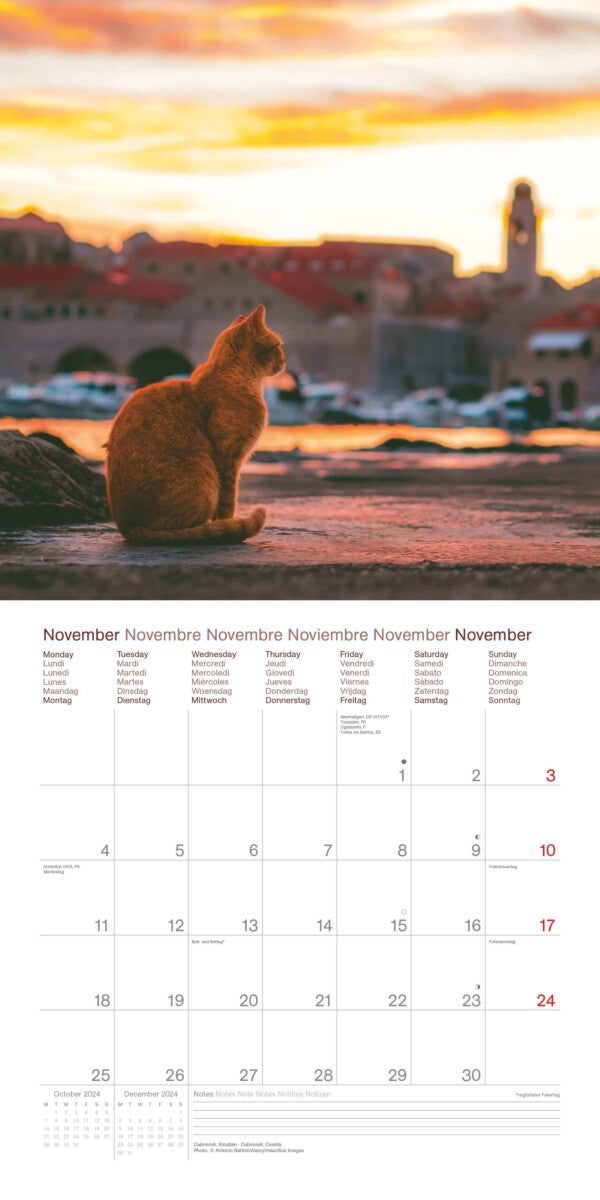 Kalender 2024 Cats a t World 30x30cm