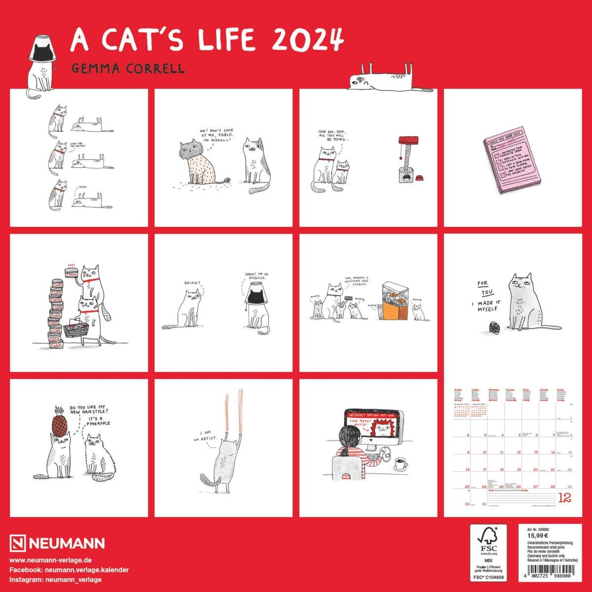 Kalender 2024 A Cat´s Life 30x30cm
