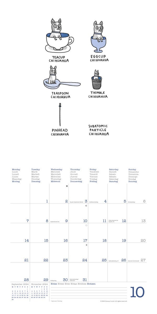 Kalender 2024 A Dog´s Life 30x30cm