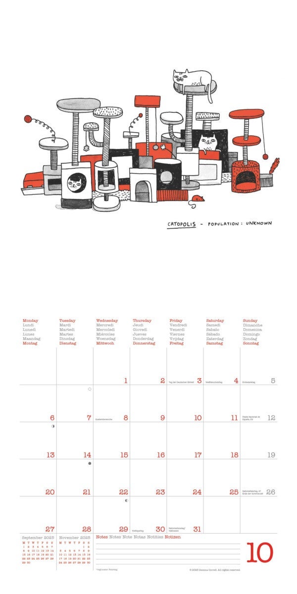 Kalender 2025 A Cats Life 30x30cm