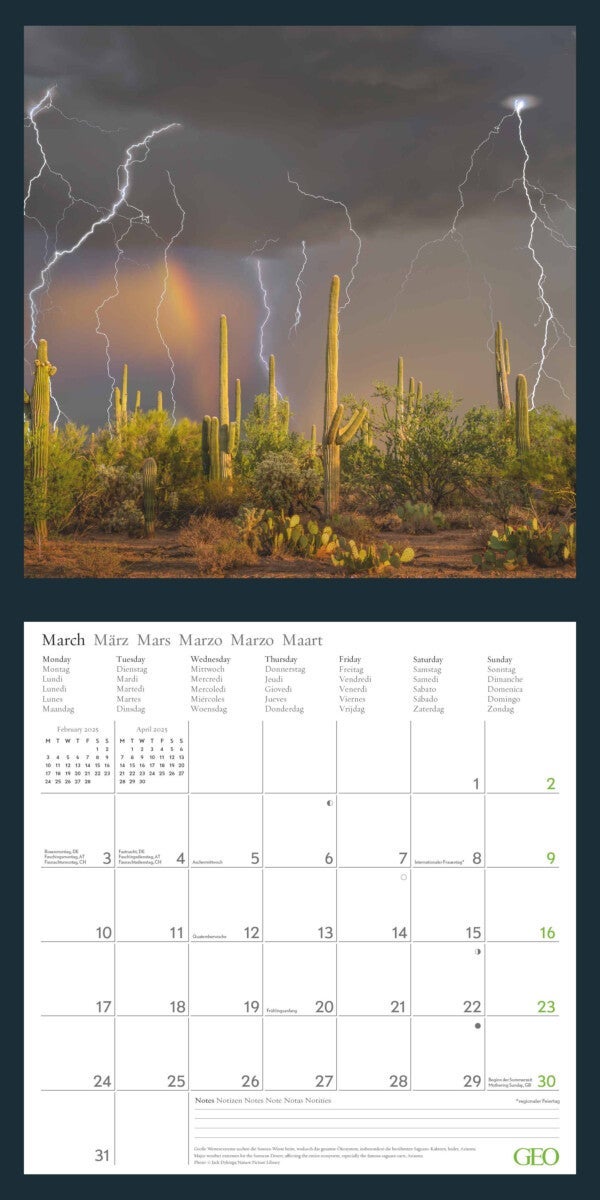 Kalender 2025 Amazing Nature 30x30cm