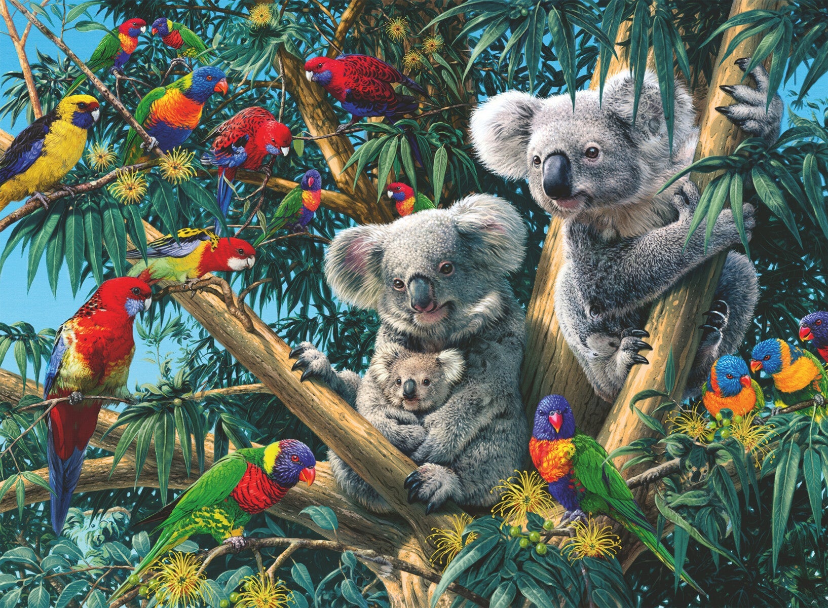 Puslespill 500 Koala i Treet Ravensburger