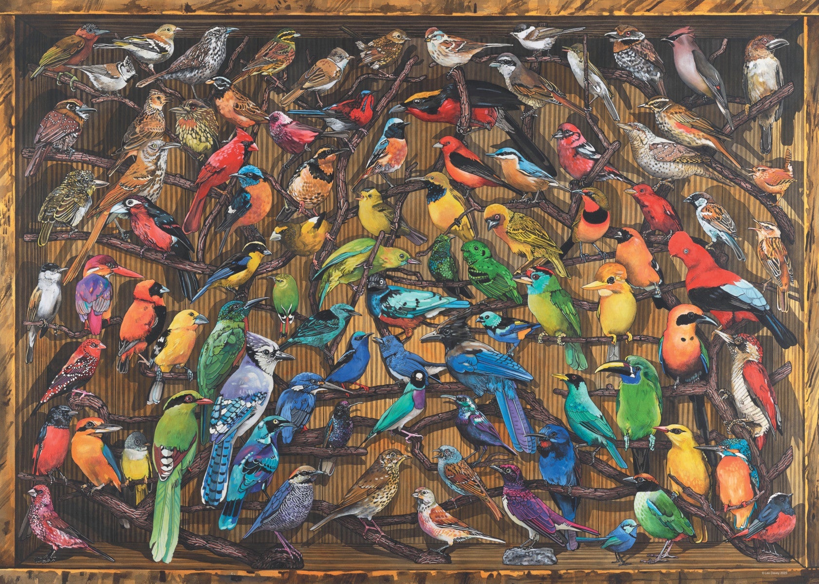 Puslespill 1000 Verdens fugler Ravensburger