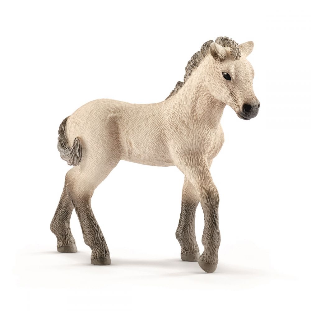 First aid kit & Icelandic horse