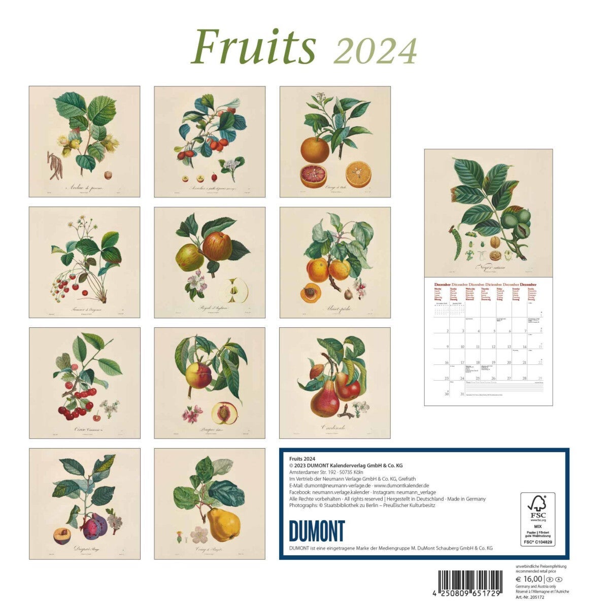 Kalender 2024 Fruits 30x30cm
