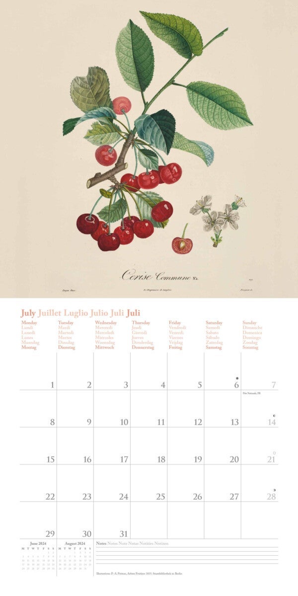 Kalender 2024 Fruits 30x30cm