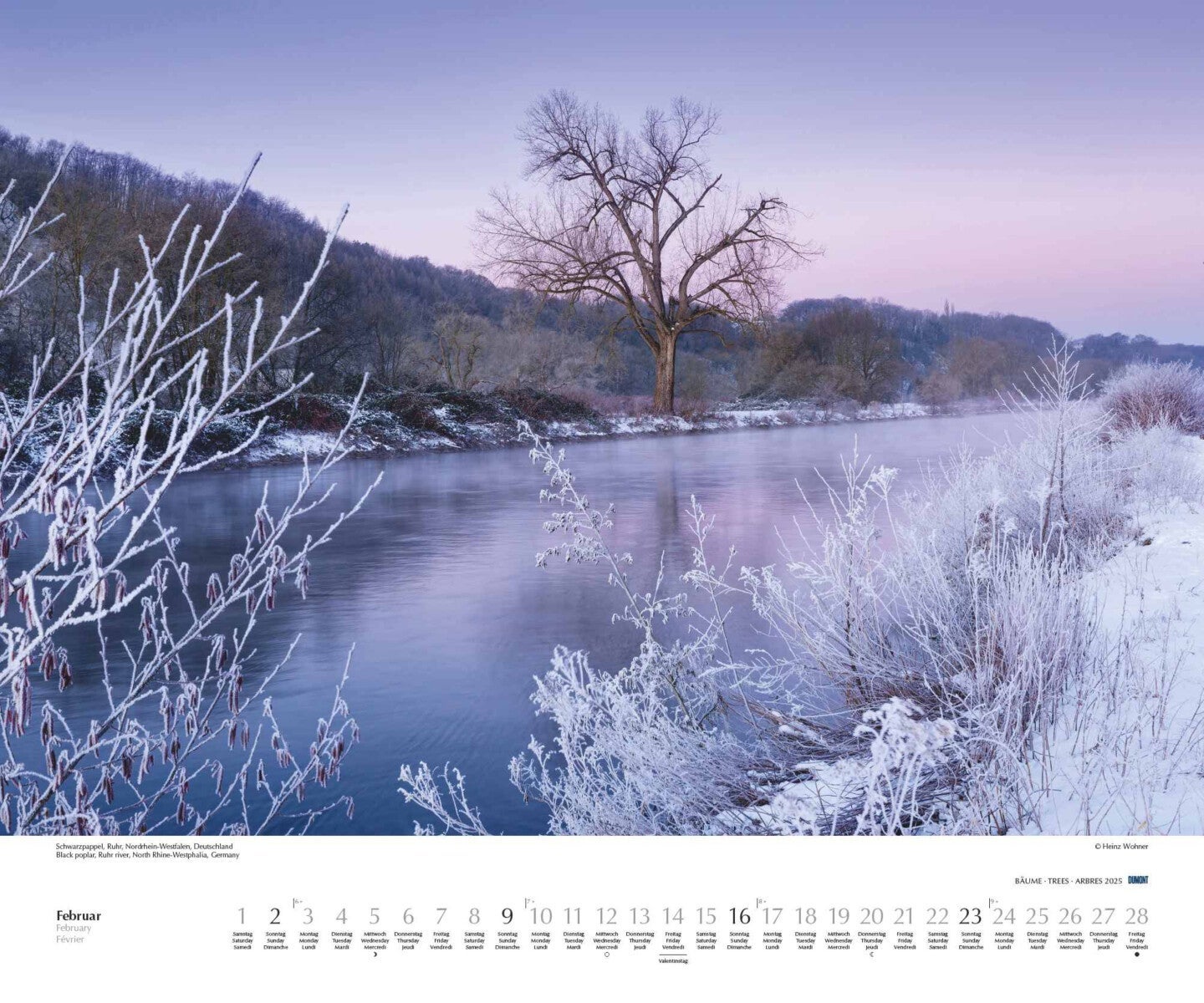 Kalender 2025 Trees 60x50cm