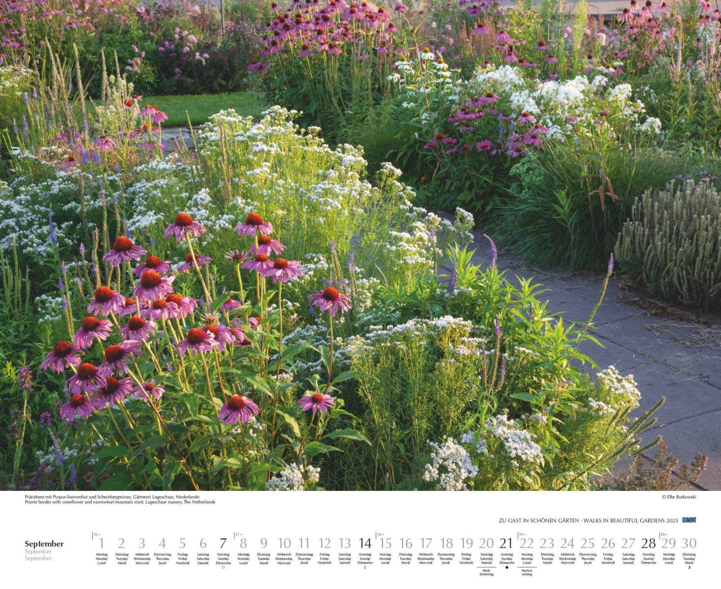 Kalender 2025 Walks in Gardens 52x43cm