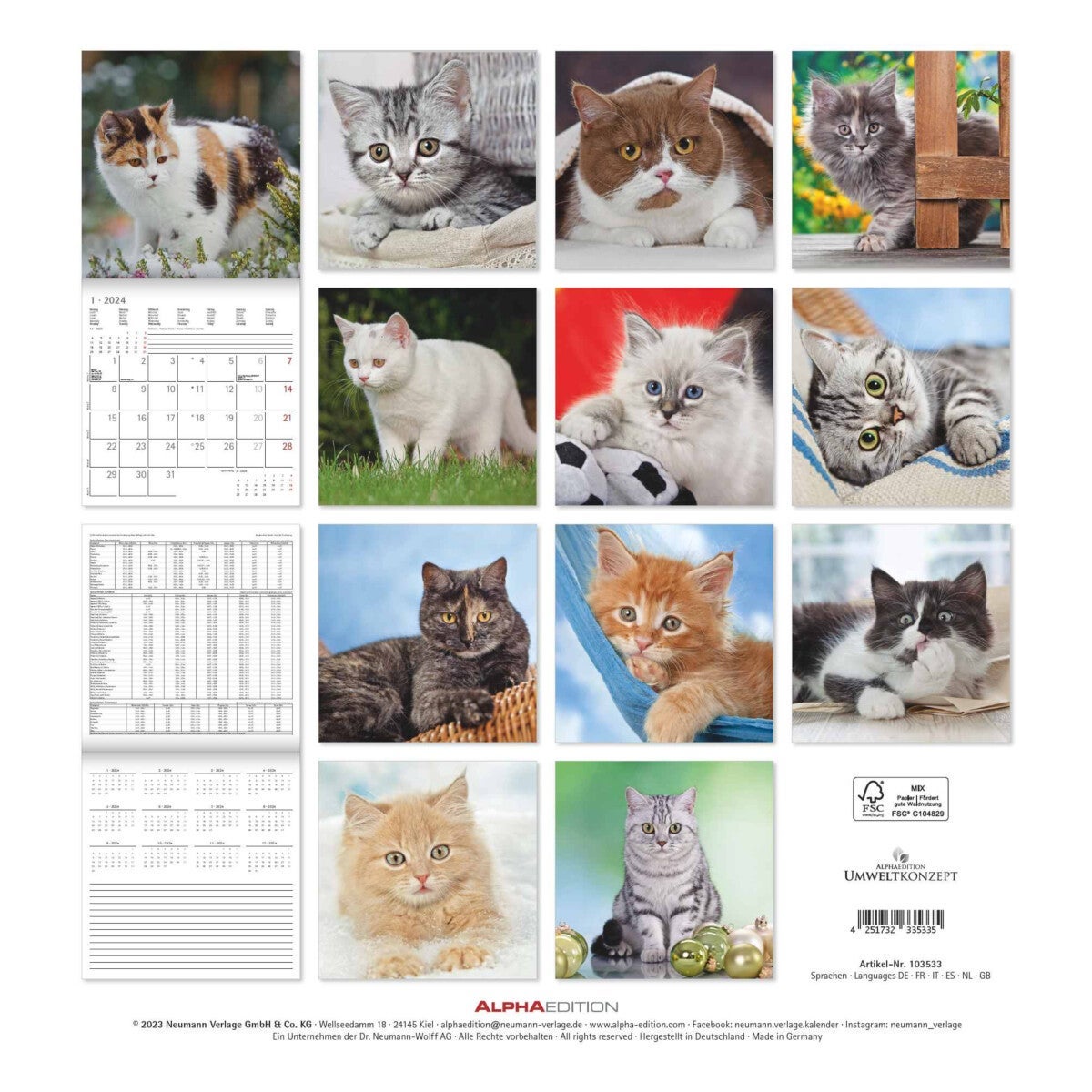 Kalender 2024 Cats 30x30cm