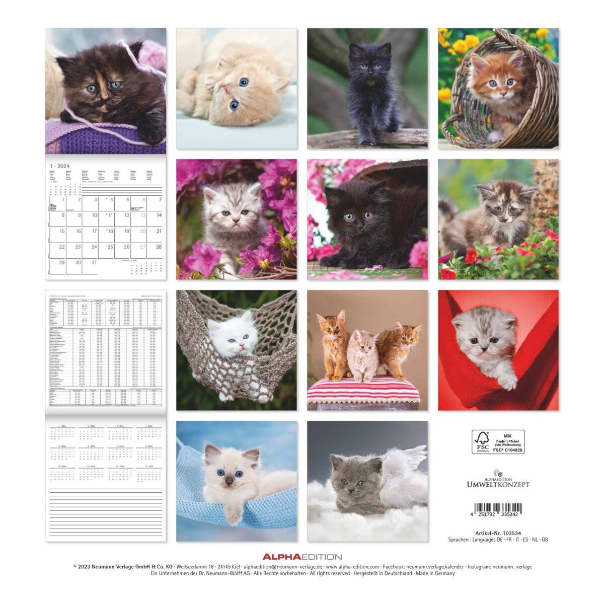 Kalender 2024 Kittens 30x30cm