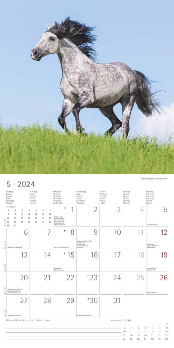 Kalender 2024 Horses 30x30cm