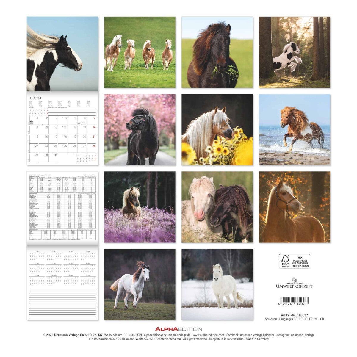 Kalender 2024 Ponies 30x30cm