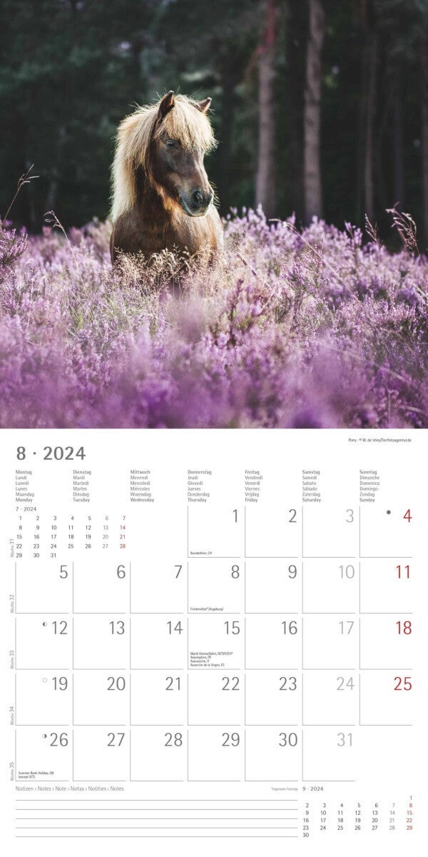 Kalender 2024 Ponies 30x30cm