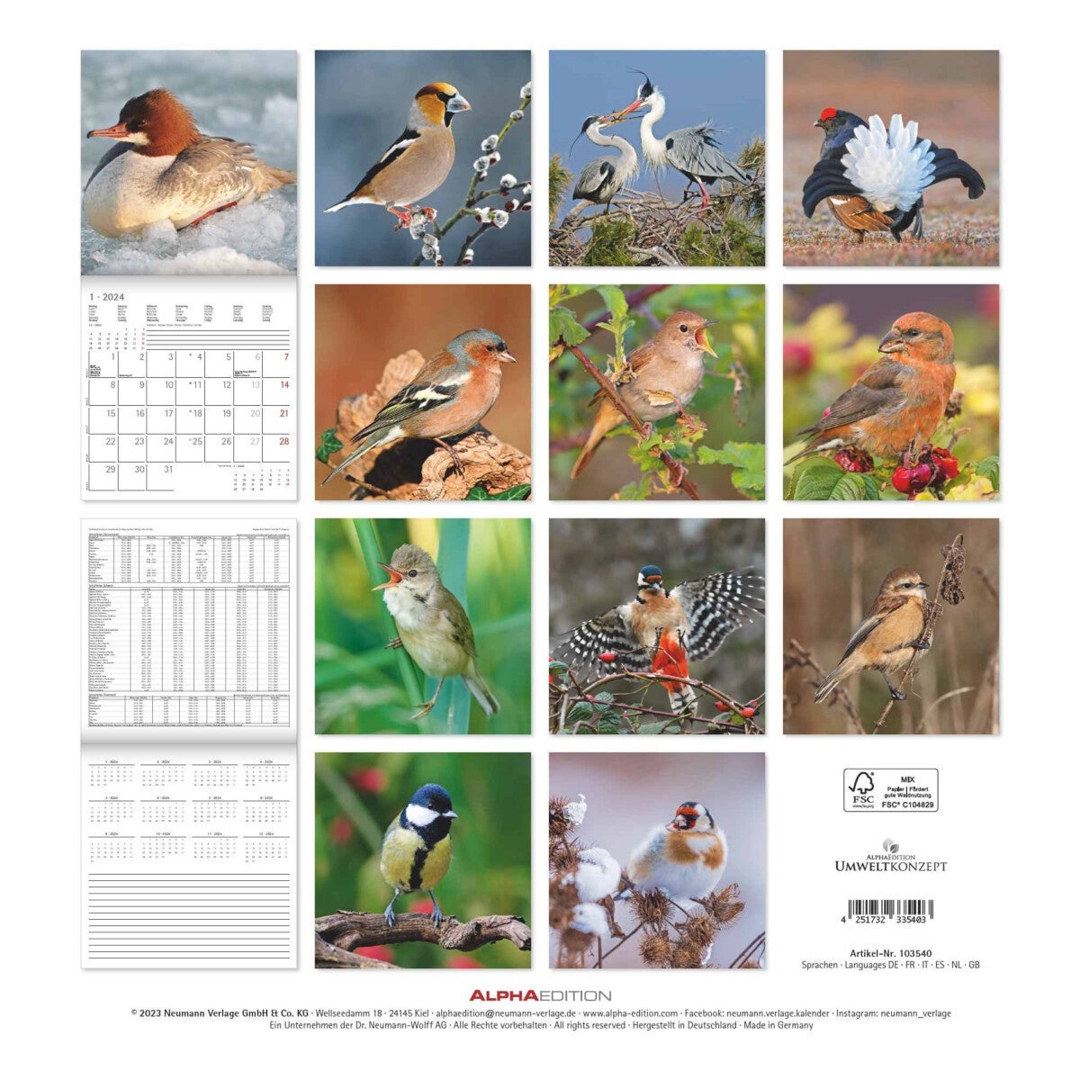 Kalender 2024 Birds 30x30cm