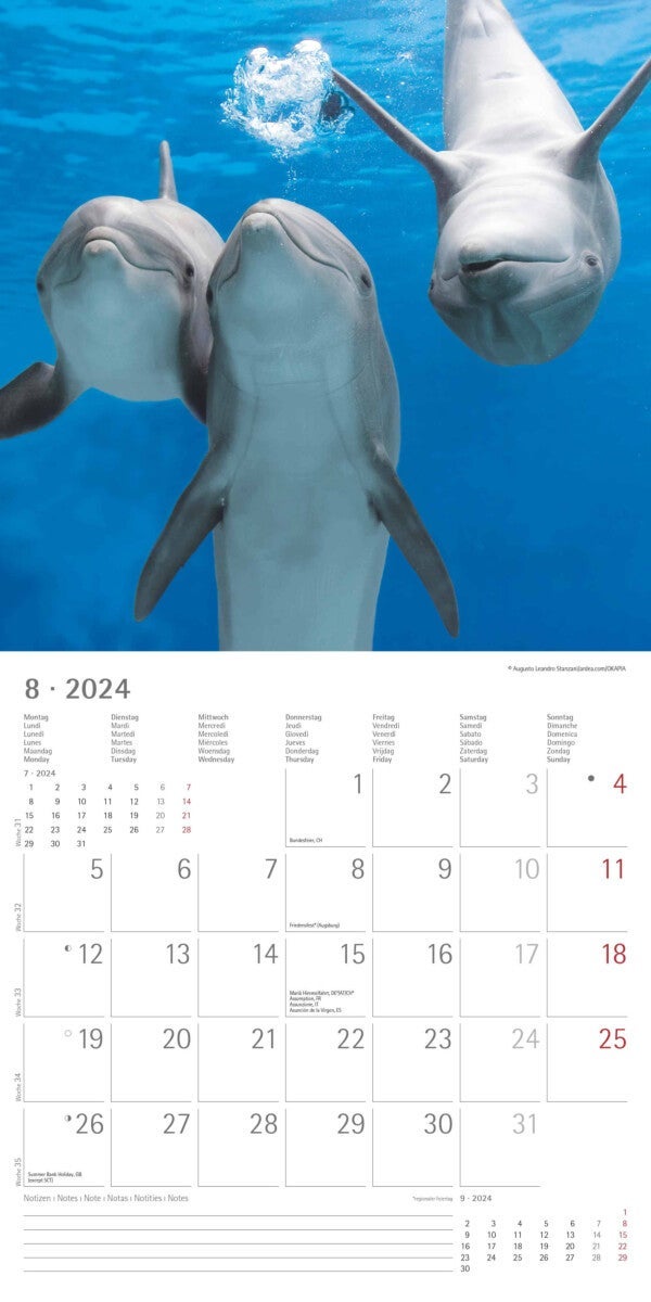 Kalender 2024 Best Friends 30x30cm