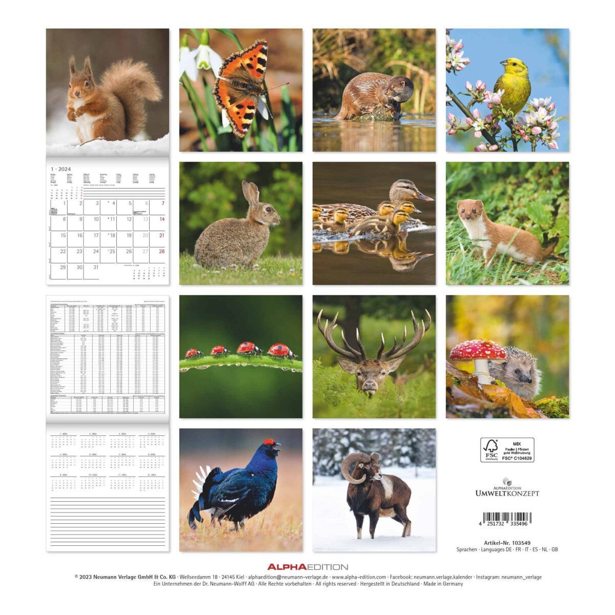 Kalender 2024 Forest Animals 30x30cm