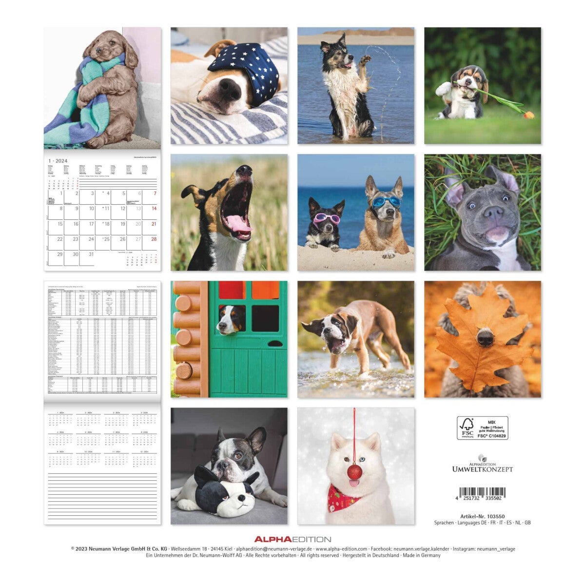 Kalender 2024 Funny Dogs 30x30cm