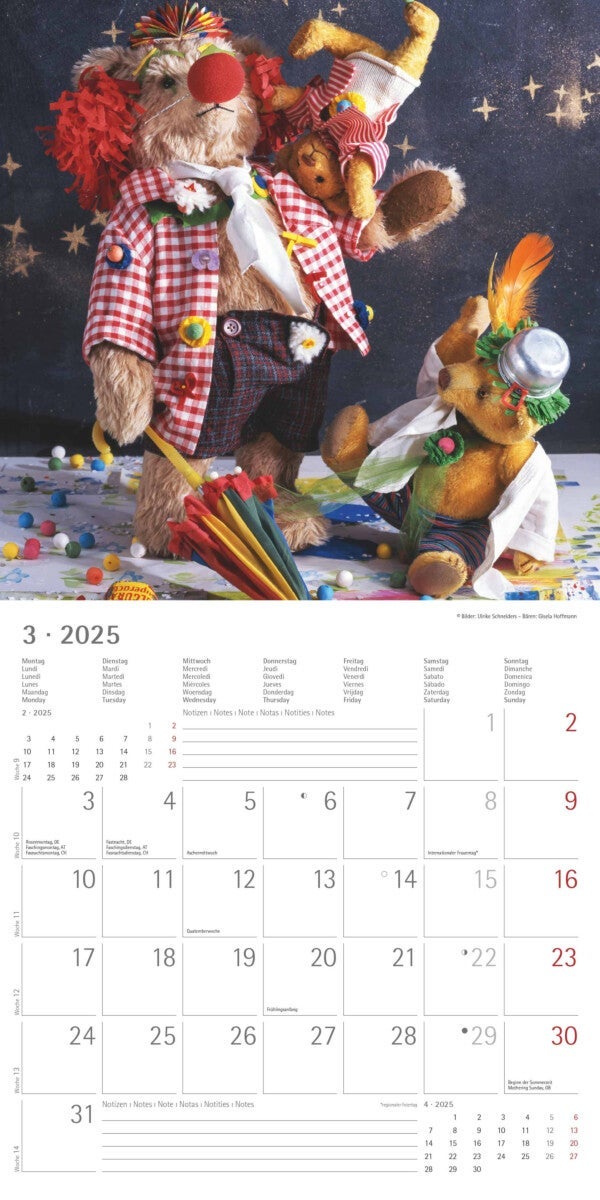 Kalender 2025 Teddy 30x30cm