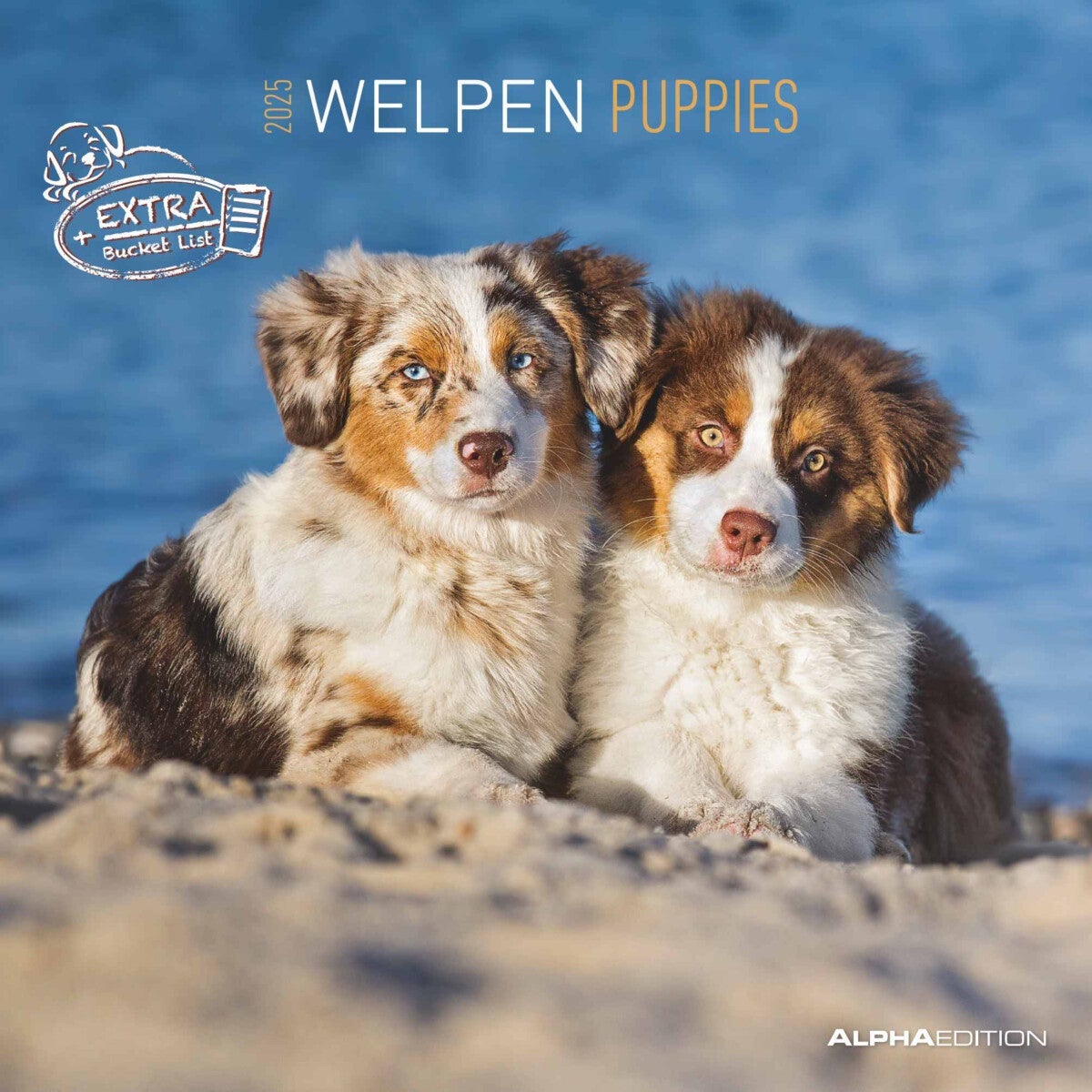 Kalender 2025 Puppies 30x30cm