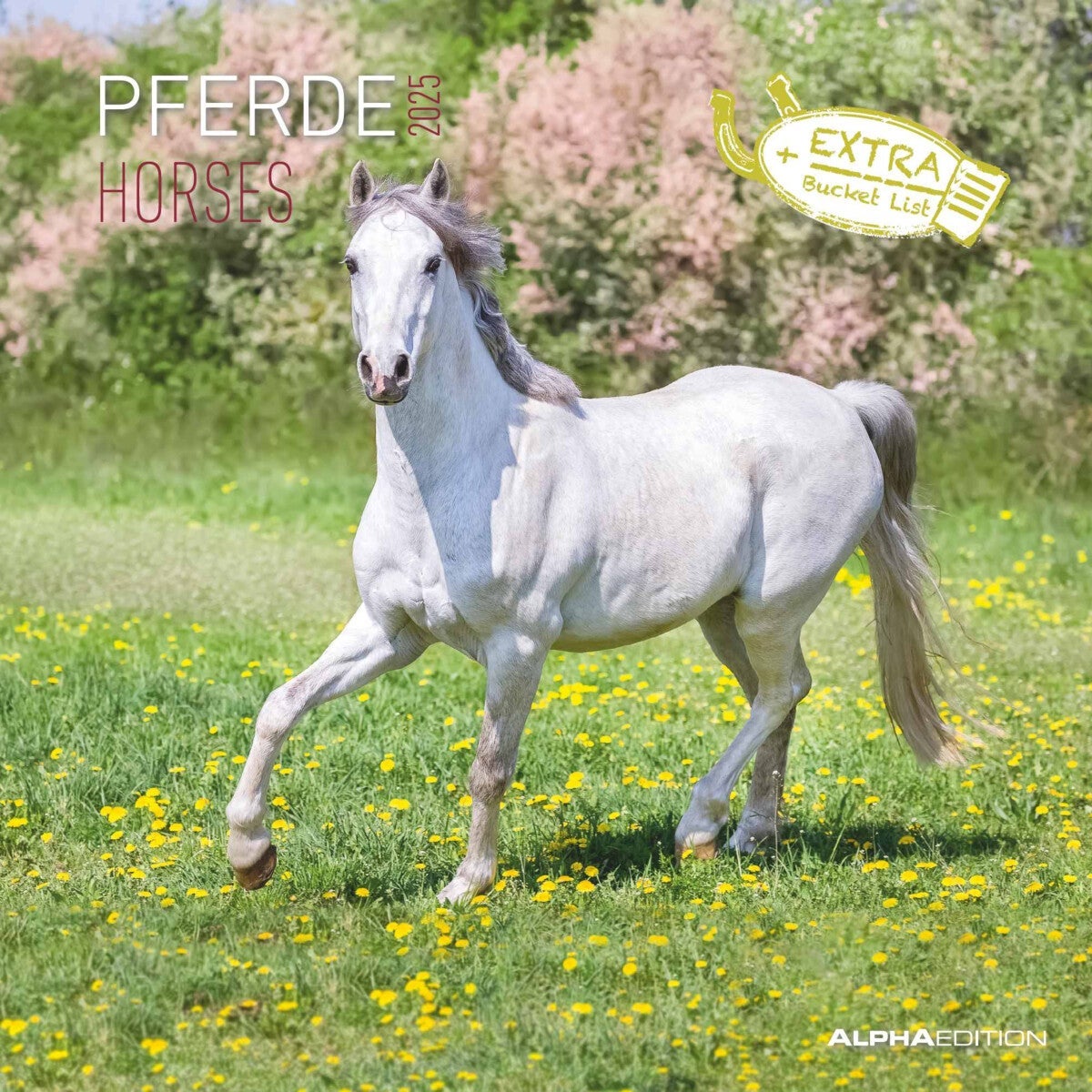 Kalender 2025 Horses 30x30cm