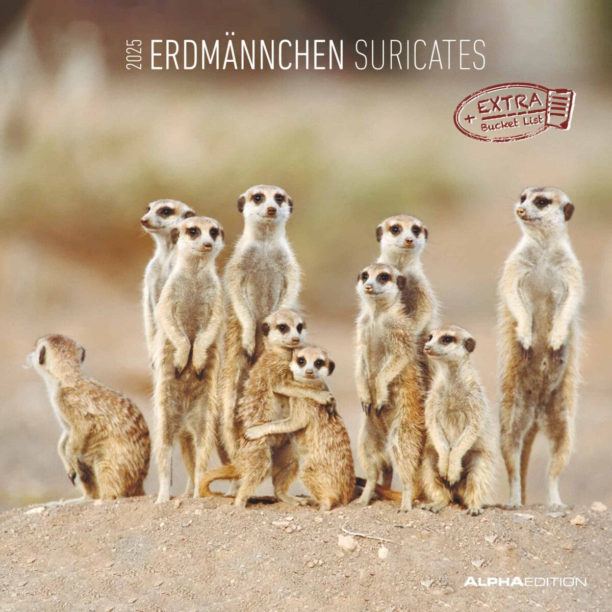 Kalender 2025 Suricates 30x30cm