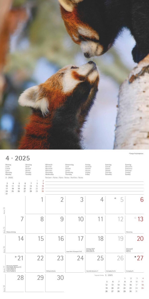 Kalender 2025 Best Friends 30x30cm