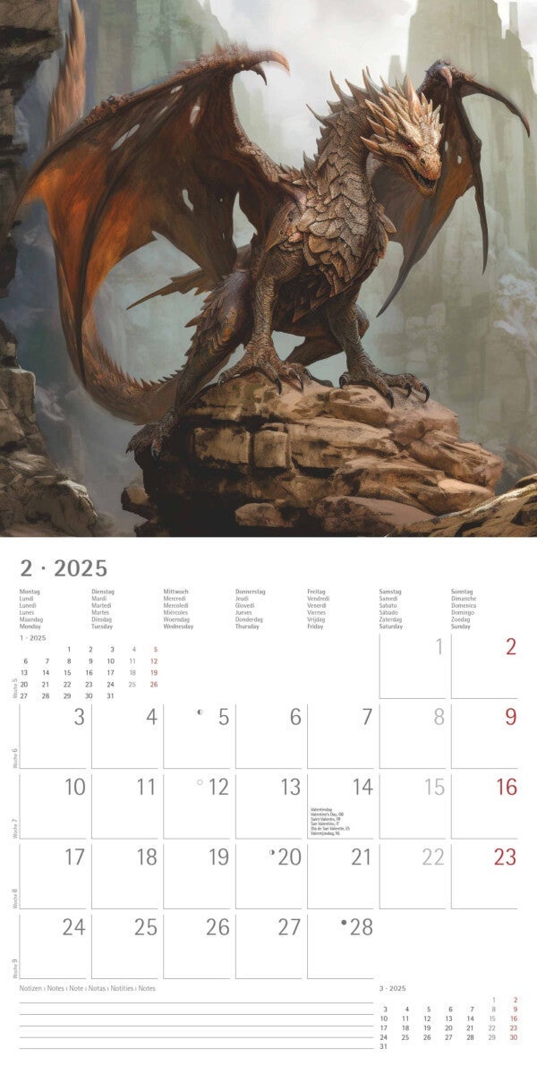 Kalender 2025 Dragons 30x30cm