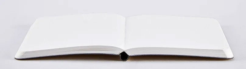 Notatbok Nuuna Shiny Starlet S Gold