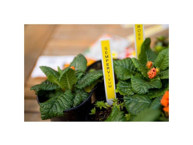 Tape Brother TZe-631 12mmx8m sort/gul