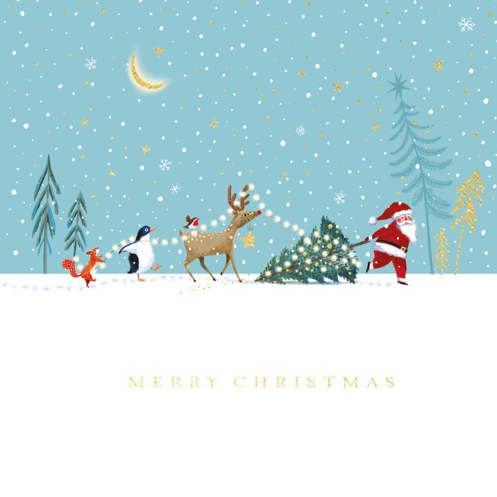 Julekort 8pk Skiing with the stars