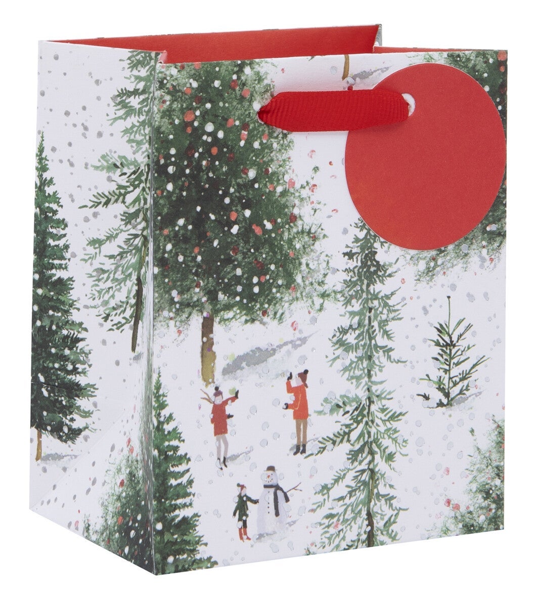 Gavepose Mini Christmas At Aspen
