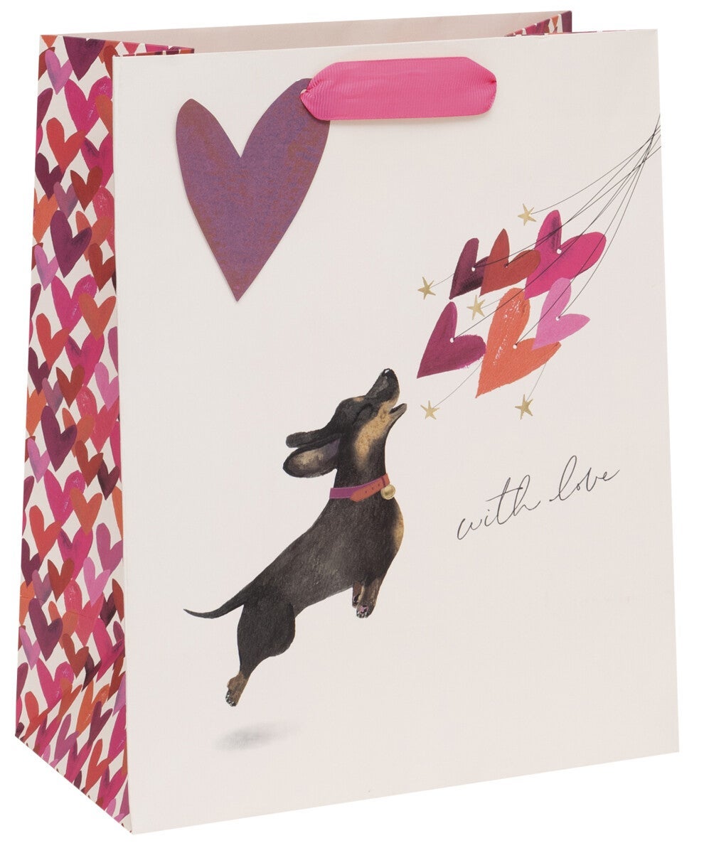 Gavepose Large Sausage Dog Balloons