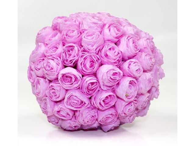 Silkepapir 50x75cm lilla 25 ark