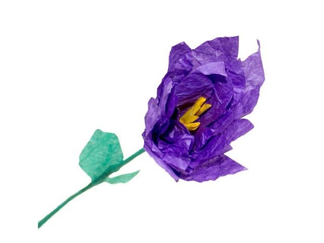 Silkepapir 50x75cm lilla 25 ark